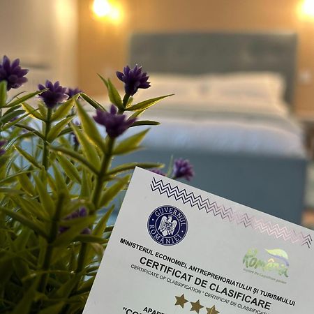 Central Cosy Apartment Κλουζ-Ναπόκα Εξωτερικό φωτογραφία