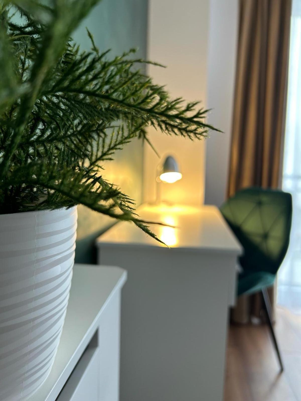 Central Cosy Apartment Κλουζ-Ναπόκα Εξωτερικό φωτογραφία
