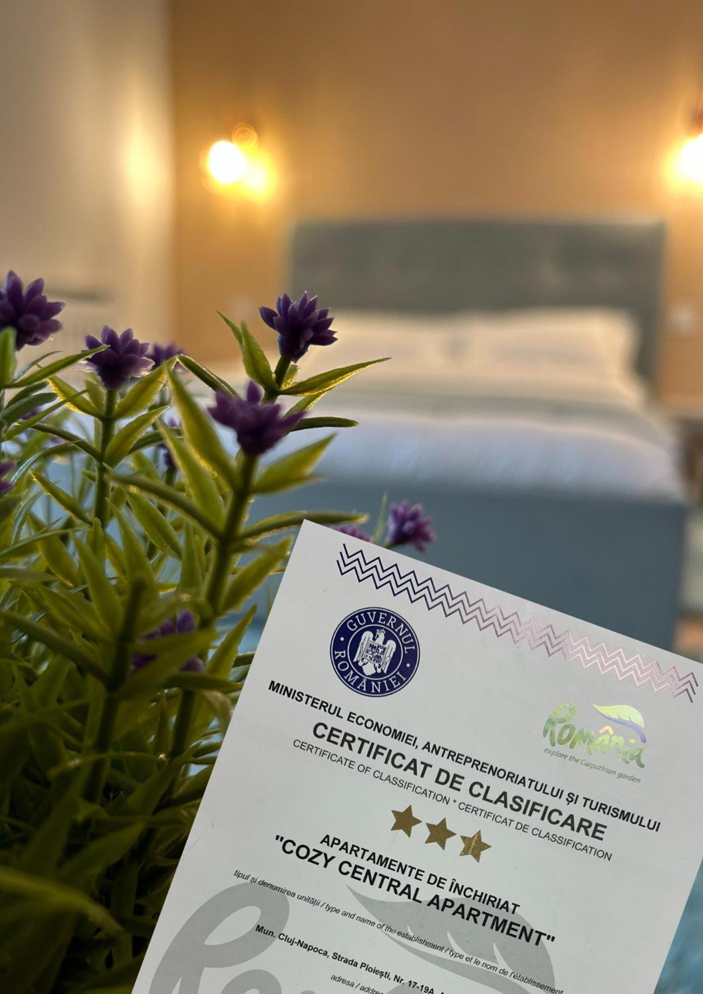 Central Cosy Apartment Κλουζ-Ναπόκα Εξωτερικό φωτογραφία